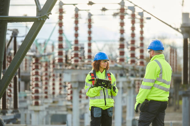 Best Electric Panel Repair  in Duson, LA